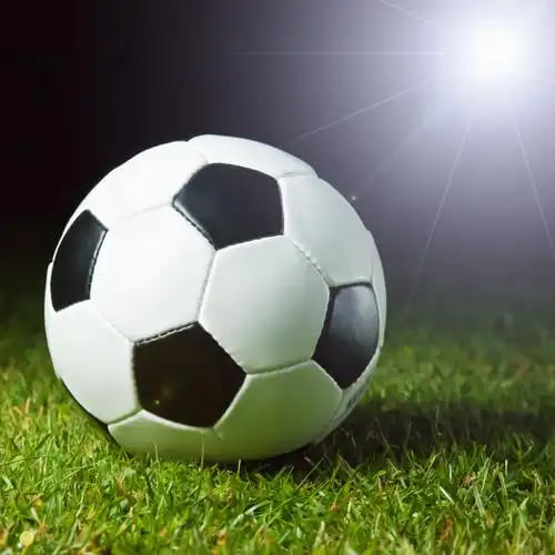 球探手机版即时比分多平台下载