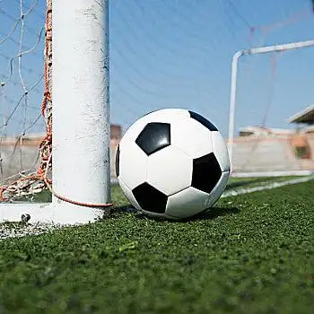 球探手机版即时比分应用界面展示